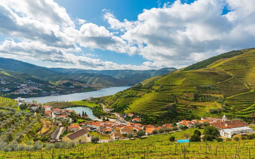 Descobrindo os Sabores da Gastronomia do Douro